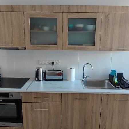 Mimosa Flat City Cente 2Bdr ニコシア エクステリア 写真